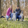 images/Wuerfegallery/Randolf-Jutta-Hunde.png